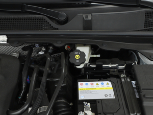 2020Ŀ Redline 325T Ԅа 