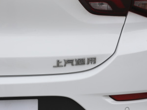 2020款320 手动欣动版 细节外观