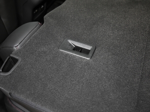 2020RS 650T Twin-Clutch7 g