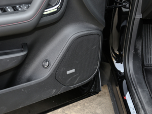 2020RS 650T Twin-Clutch7 g