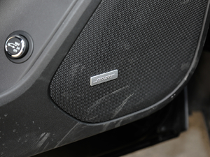 2020RS 650T Twin-Clutch7 g