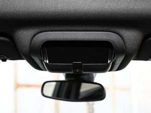 2020RS 650T Twin-Clutch7 g