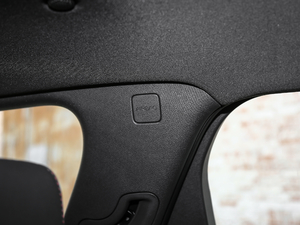 2020RS 650T Twin-Clutch7 g