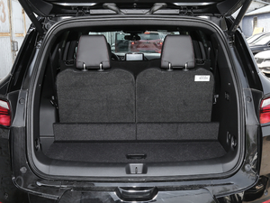 2020RS 650T Twin-Clutch7 g