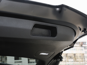 2020RS 650T Twin-Clutch7 g