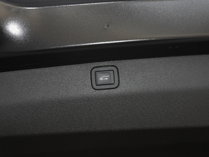 2020RS 650T Twin-Clutch7 g