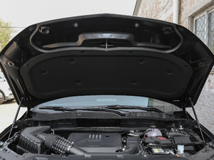 2020RS 650T Twin-Clutch(q)7 