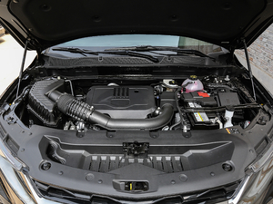 2020RS 650T Twin-Clutch(q)7 l(f)әC