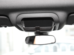 2020RS 650T Twin-Clutch(q)7 g