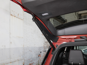 2020RS 650T Twin-Clutch(q)7 g