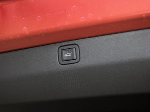 2020RS 650T Twin-Clutch(q)7 g