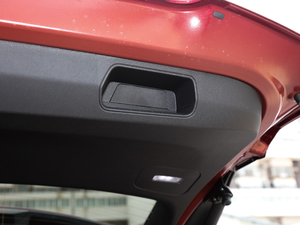 2020RS 650T Twin-Clutch7 g