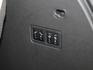 2020RS 650T Twin-Clutch7 g