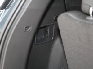 2020RS 650T Twin-Clutch(q)7 g