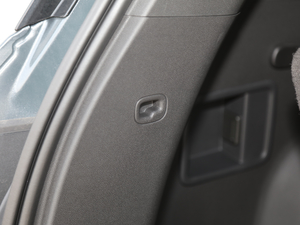 2020RS 650T Twin-Clutch(q)7 g