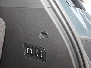 2020RS 650T Twin-Clutch(q)7 g