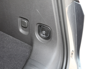 2020RS 650T Twin-Clutch(q)7 g