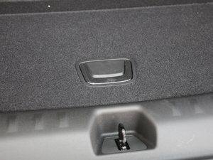 2020RS 650T Twin-Clutch(q)7 g