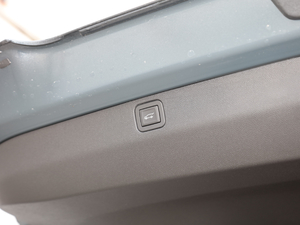 2020RS 650T Twin-Clutch(q)7 g