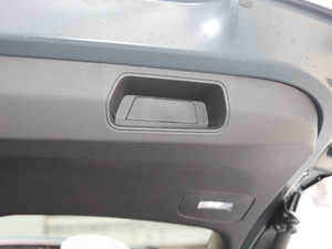 2020RS 650T Twin-Clutch(q)7 g