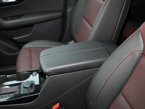 2020款RS 650T Twin-Clutch四驱7座擎版 中央扶手箱
