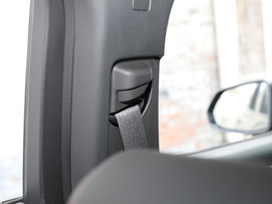 2020RS 650T Twin-Clutch7 g