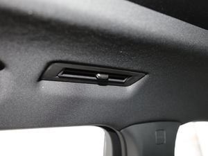 2020RS 650T Twin-Clutch7 g