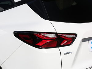 2020款650T 7座型版 细节外观