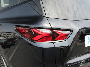 2020款RS 650T Twin-Clutch四驱7座擎版 细节外观