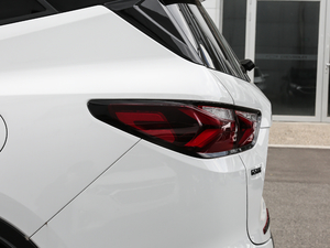 2020Redline 650T 7 ^