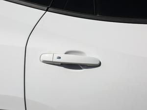 2020Redline 650T 5Ͱ ^