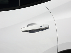 2020Redline 650T 5Ͱ ^