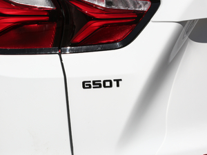 2020Redline 650T 5Ͱ ^