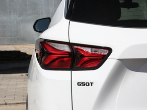 2020Redline 650T 5Ͱ ^