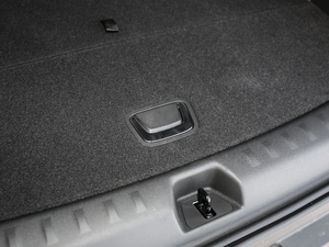 2020Redline 650T 5Ͱ g