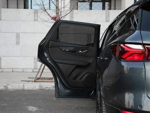 2020RS 650T Twin-Clutch7 g