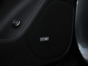 2020RS 650T Twin-Clutch7 g