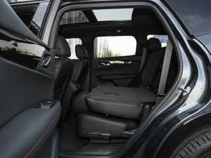 2020RS 650T Twin-Clutch7 g