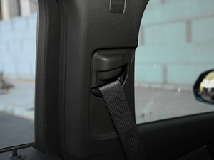 2020RS 650T Twin-Clutch7 g