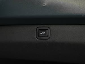 2020RS 650T Twin-Clutch(q)7 