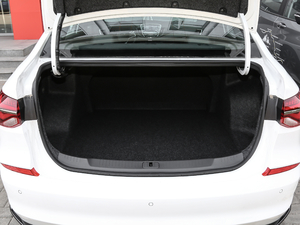 2020RS 330T p Ԅӕ g