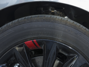 2020Redline 320T p pxϚg ݆̥ߴ