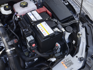 2020Redline 320T p pxϚg 