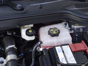 2020Redline 320T p pxϚg 