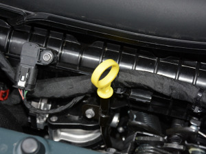 2021Redline 550T ԄJ 