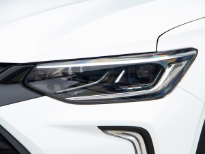 2021Redline 335T CVTO VI ^