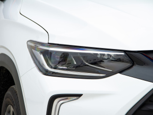 2021Redline 335T CVTO VI ^