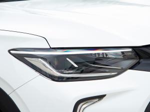 2021Redline 335T CVTO VI ^