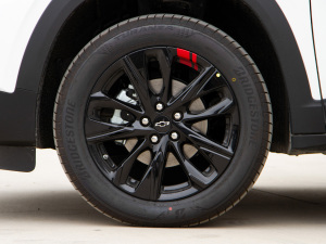 2021Redline 335T CVTO VI ݆Ȧ