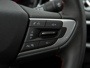 2021Redline 335T CVTO VI п؅^